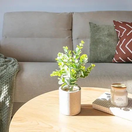 Apartament El Atico Del Rio De La Pila *